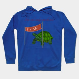 Slow and Steady Turtle Hoodie